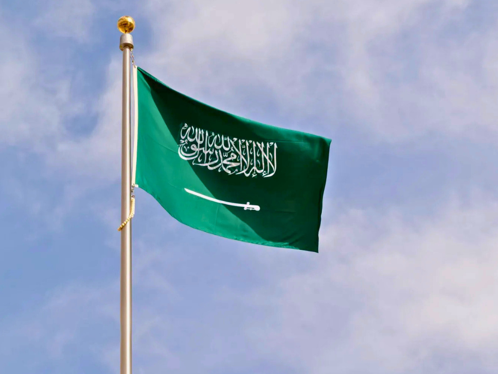 سوق العمل السعودي الحكومي والخاص